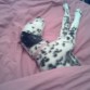 LAILA Soñando.....